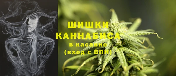 ПСИЛОЦИБИНОВЫЕ ГРИБЫ Карталы