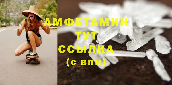 ПСИЛОЦИБИНОВЫЕ ГРИБЫ Карталы