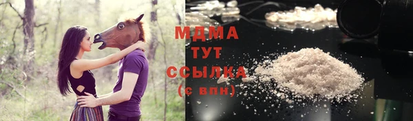 молекула духа Карпинск