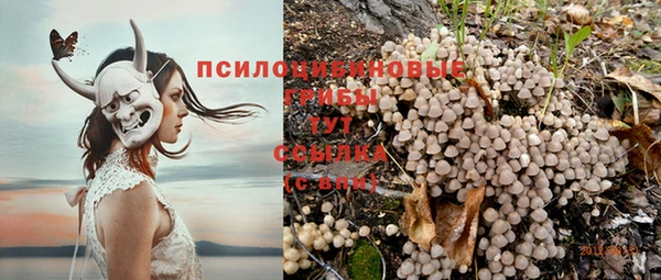 круглые Киренск
