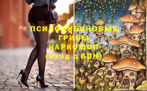 молекула духа Карпинск