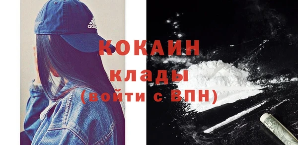 молекула духа Карпинск