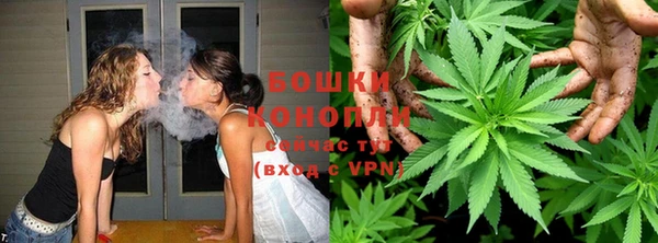 молекула духа Карпинск
