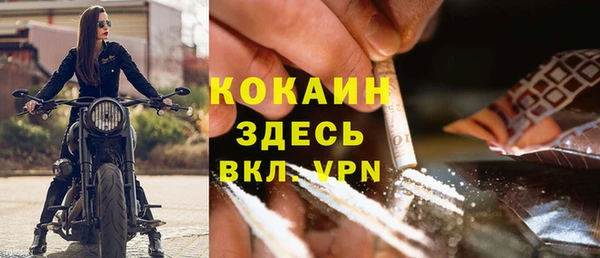 ПСИЛОЦИБИНОВЫЕ ГРИБЫ Карталы