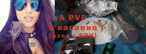 ПСИЛОЦИБИНОВЫЕ ГРИБЫ Карталы