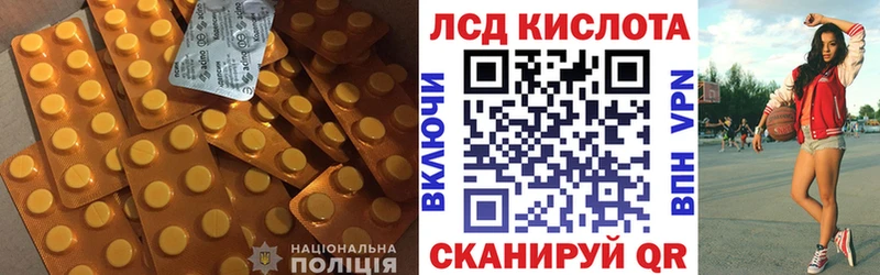Купить закладки  Приморск  LSD-25 экстази ecstasy 
