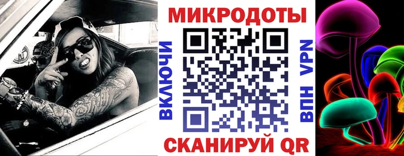Купить закладки  Приморск  Псилоцибиновые грибы Magic Shrooms 